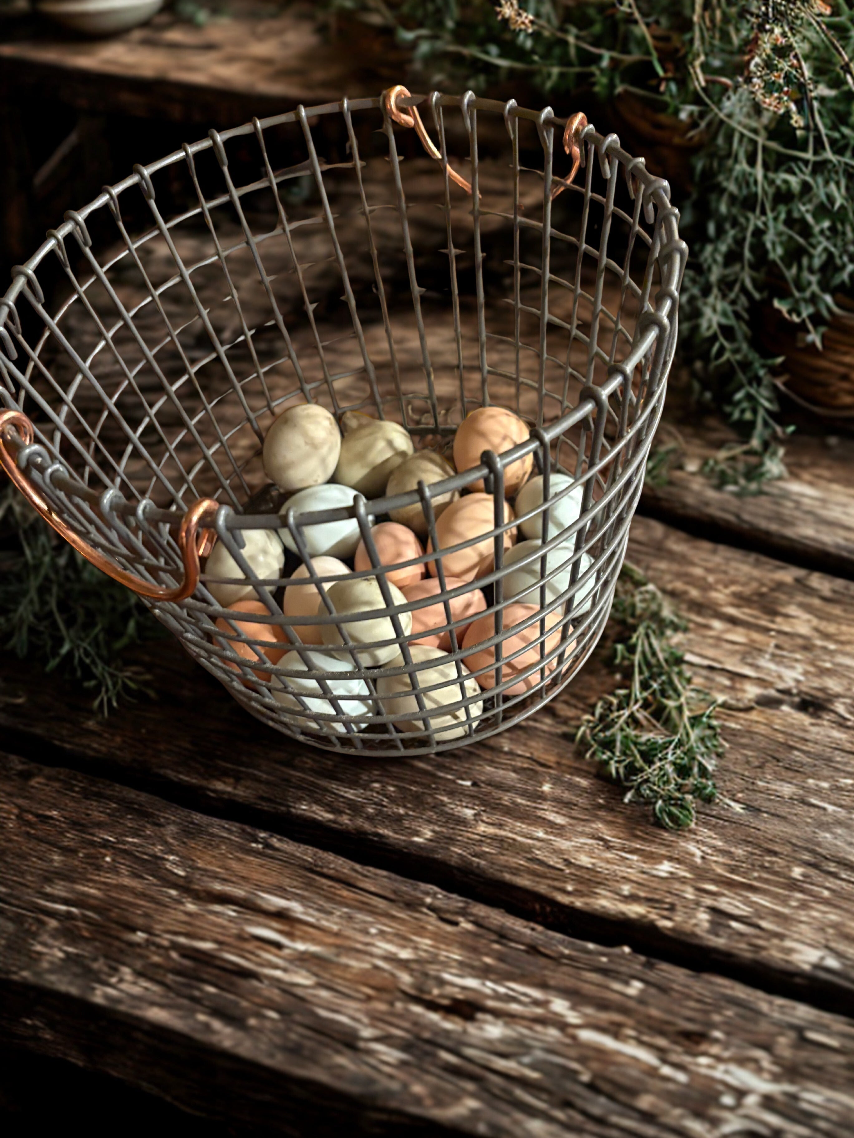 Morning Rhythm Collection