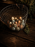 NEST: Farm Fresh Eggs