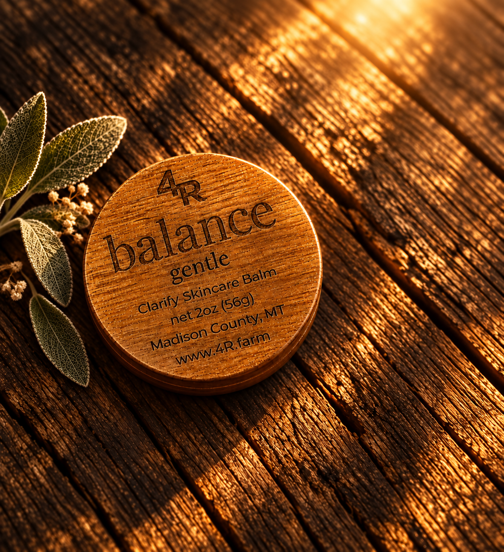 BALANCE GENTLE facial moisturizer in a walnut-lidded tin with sage on dark wood