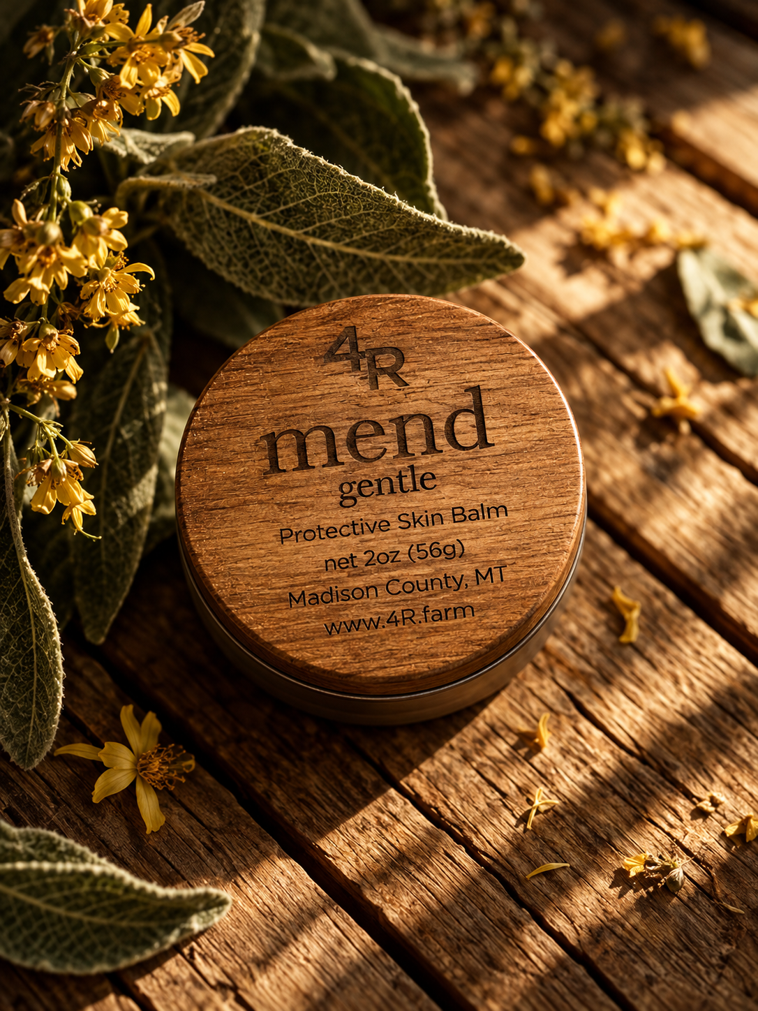 MEND GENTLE Protective Skin Balm in a walnut-lidded tin with botanicals on dark wood