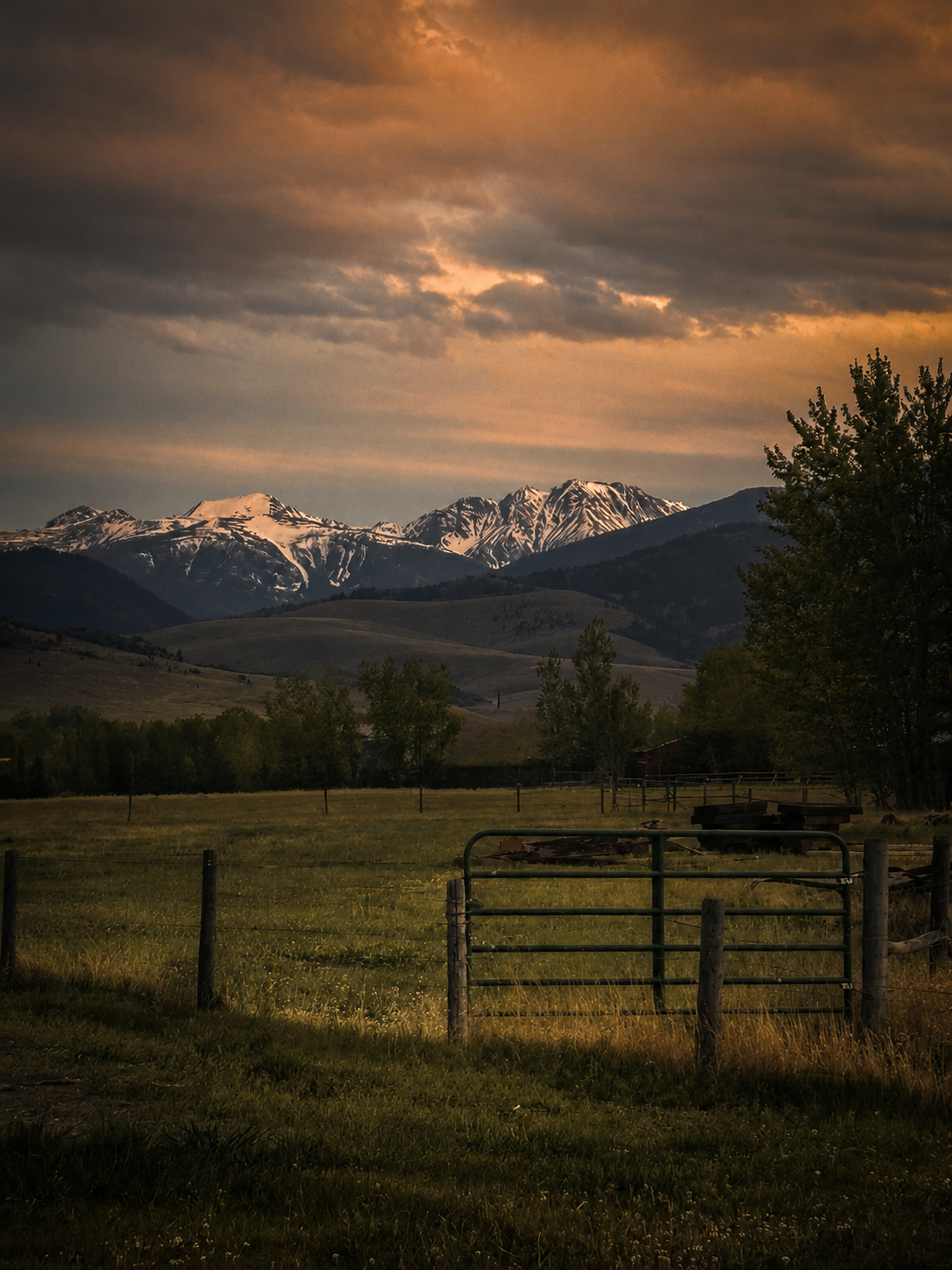 Mountain scene in background with a pink-tinted sky and fencing with green gate.