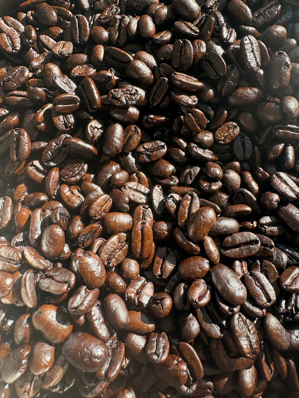 Close-up of roasted coffee beans