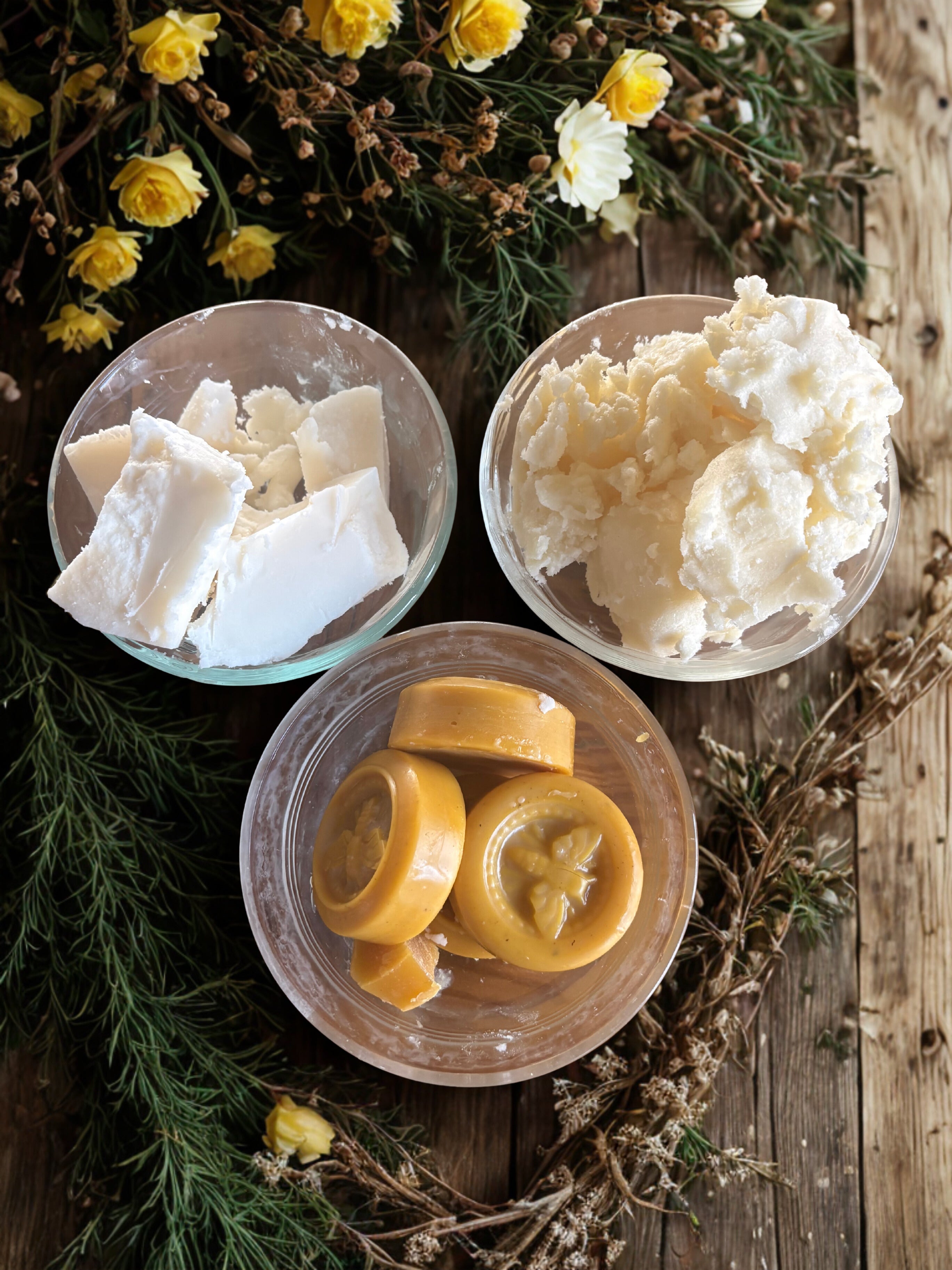 Three containers with white, yellow, and green leaves on a wooden surface with flowers in the background.
