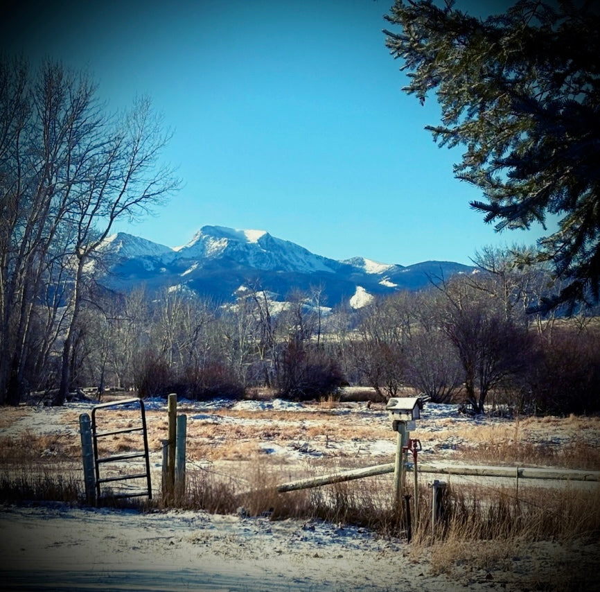 Scenic view of mountains with a wooden fence and trees in the foreground
